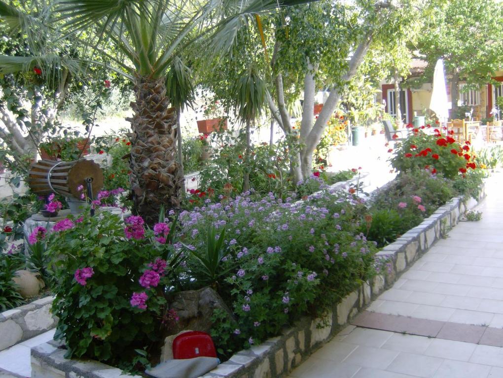 Villa Costas - Popi Szívasz Kültér fotó